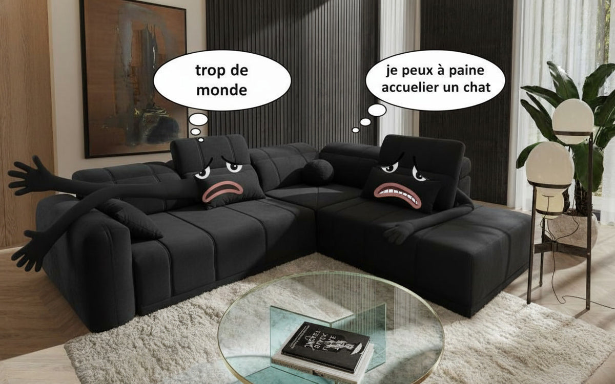 Image montrant un canapé de couleur noire, comportant une section pour trois places et une section pour deux places. Il s'agit probablement d'un ensemble modulaire ou d'un canapé grand format.