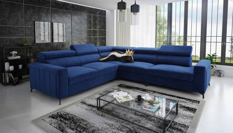 Un canapé de couleur bleu roi.