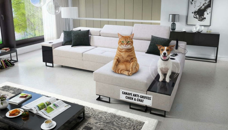 Illustration d'un canapé conçu pour les animaux de compagnie (chien, chat), mettant en évidence sa conception avec un tissu résistant aux griffures.